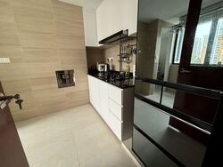 Fortune Jade (D15), Apartment #433000301